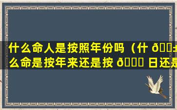 什么命人是按照年份吗（什 🐱 么命是按年来还是按 🕊 日还是按纳音五行）